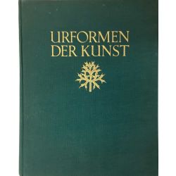 1929, Blossfeldt, Urformen der Kunst, photographies.