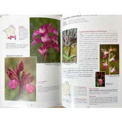 Les orchidées de France, Belgique et Luxembourg.