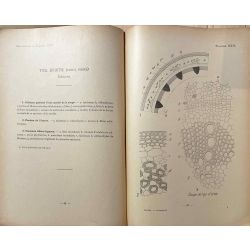 Coupin/Jodin/Dauphiné, Atlas de botanique microscopique.