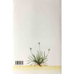 Duhamel, Flore pratique illustrée des Carex de France.