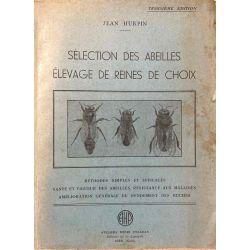 Apiculture, Hurpin, Selection des abeilles, Elevage de reines de choix.