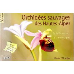 Tourillon, Orchidées sauvages des Hautes-Alpes.