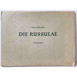 Schaeffer, Russula-Monographie / Les russules, texte et atlas.