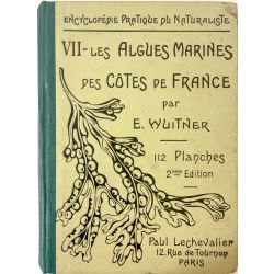 Wuitner, Les algues marines des côtes de France.